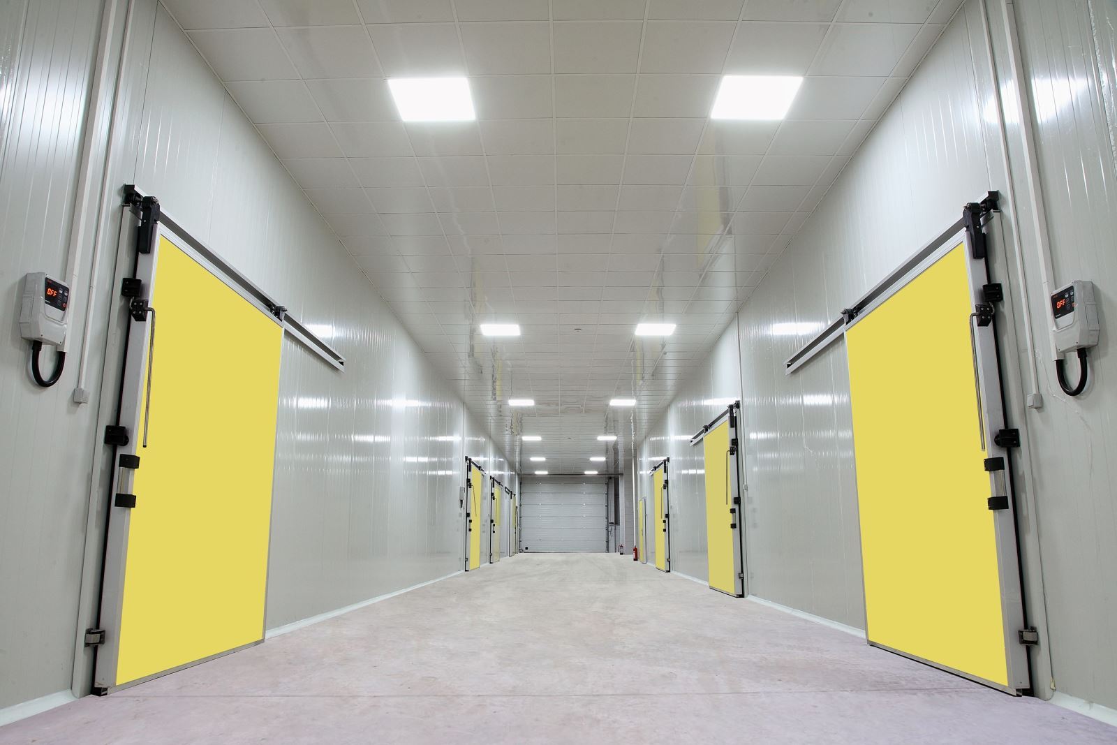 Cold Room Doors